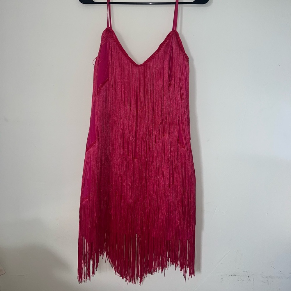 Showpo Siofra Mini Fringe Dress in Pink